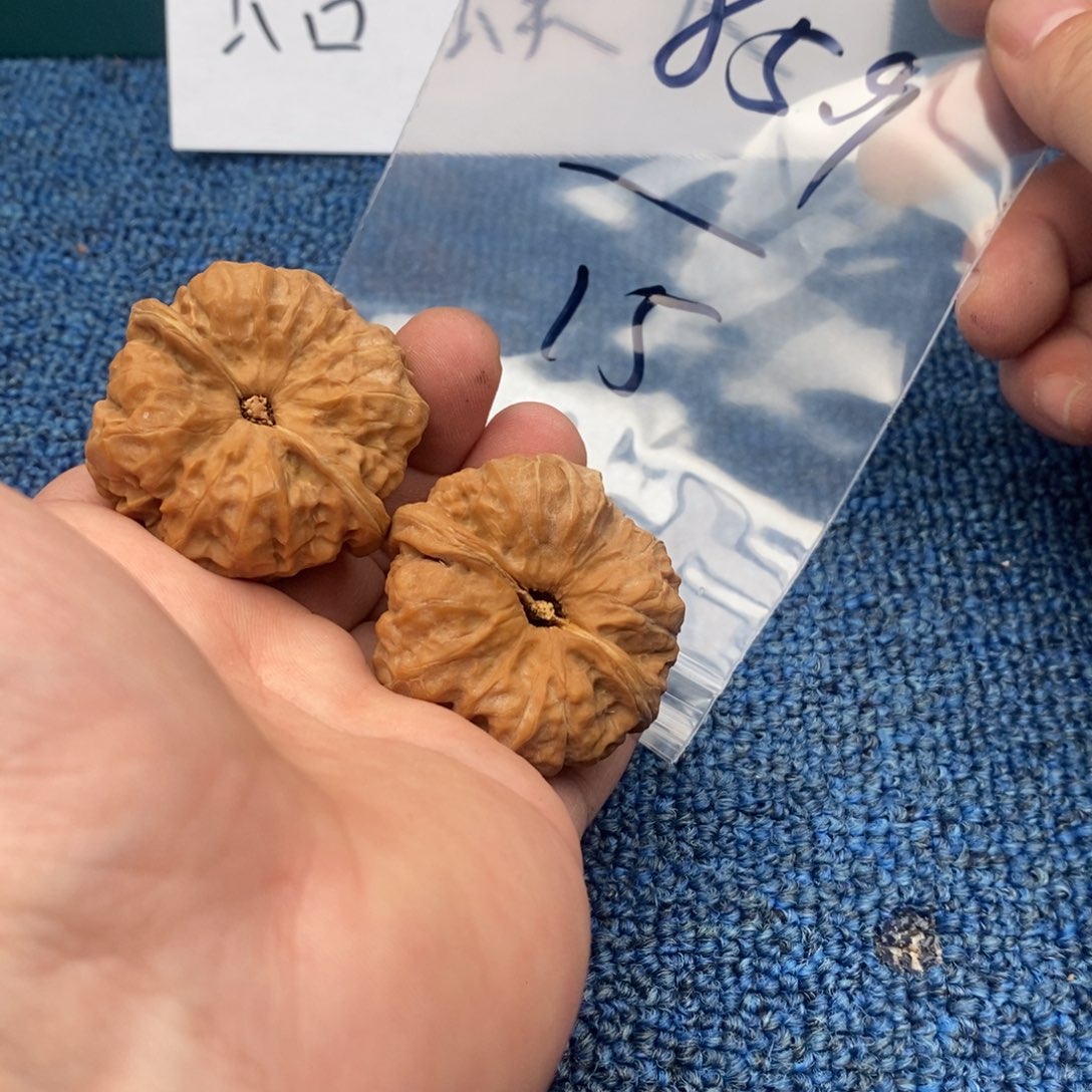 哈哈哈哈哈哈哈哈哈哈哈哈哈哈