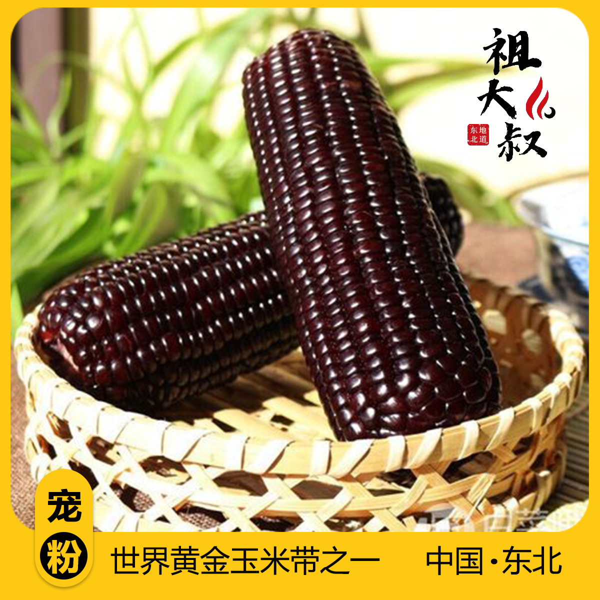 （试吃一根）铝箔包装10+1东北黑糯玉米 整箱5.5-6斤  黑土地零添加