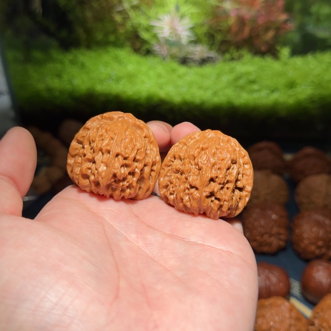 325号40南疆石南疆石南疆石