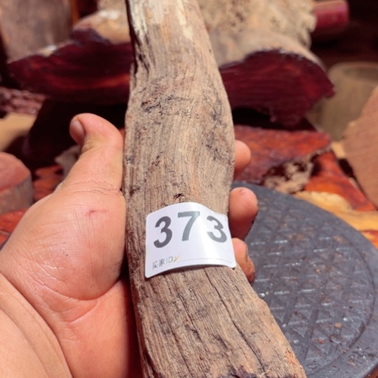 大果紫檀（缅甸花梨）