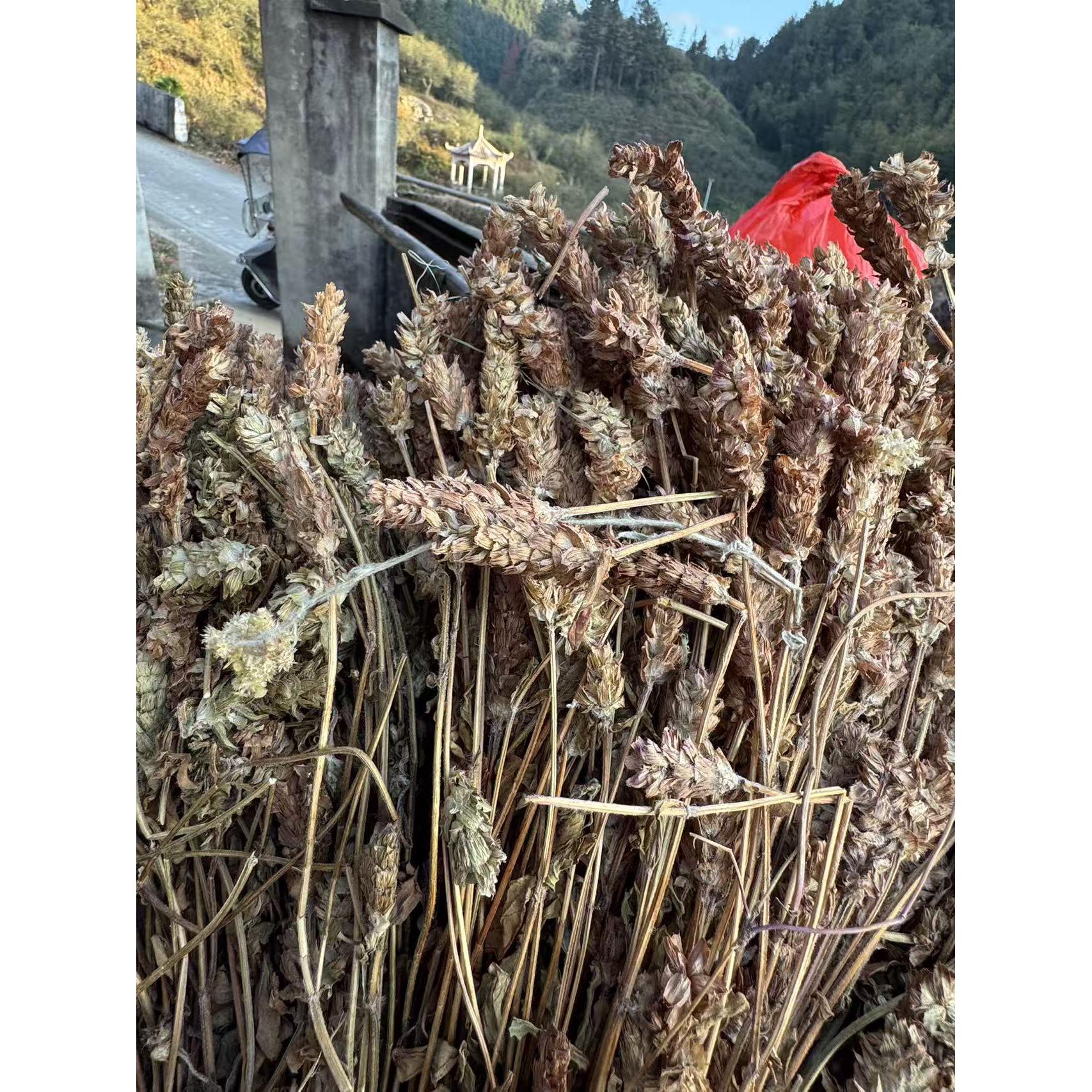福建闽清梵舍农产品整颗夏枯草 夏枯草 夏枯花 自然晒干