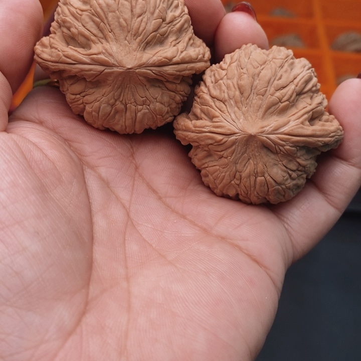 把件桃核泥鳅背46