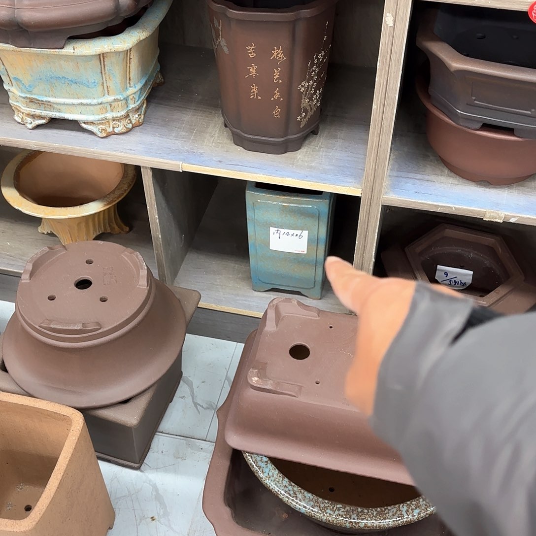 紫砂花盆今***虎紫砂的花也太