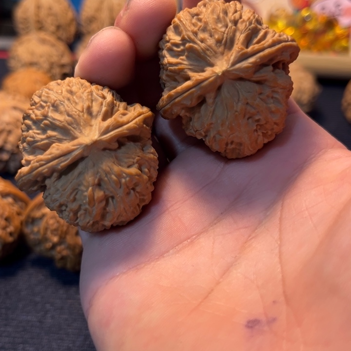 文玩核桃全品白狮子 38