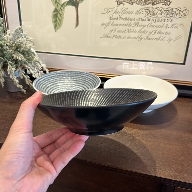 陆家LZ餐具新骨瓷 云端系列斗笠菜碗 面碗