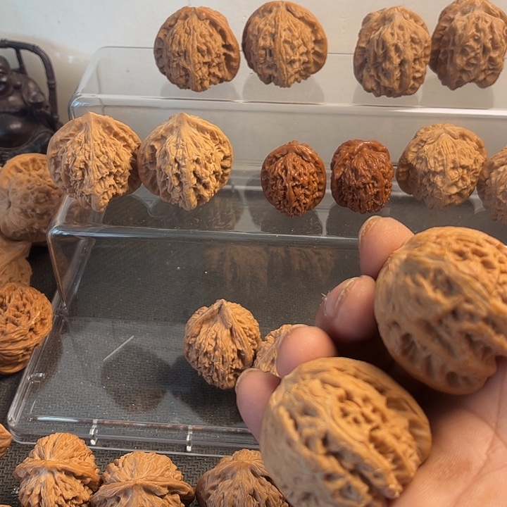 桃核吊坠43元宝…………