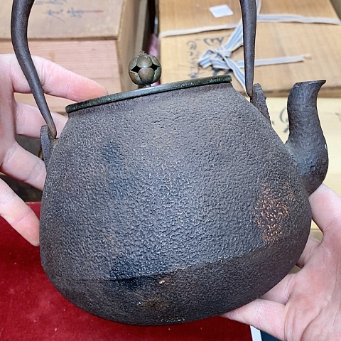 紫砂哈哈哈哈哈哈哈哈