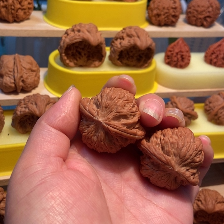 官方网站发布消息