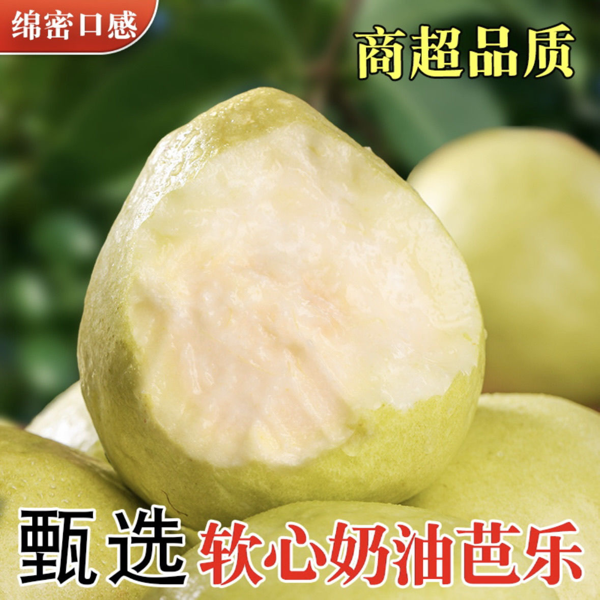 【顺丰明天到】新鲜奶油芭乐冰激凌口感番石榴小香果孕妇水果应季鸡屎果 约2.5斤