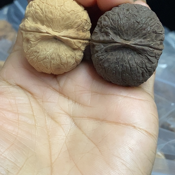 把件文玩核桃云南铁核桃基地43