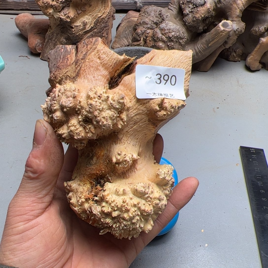 乡***蜂无花朵           390