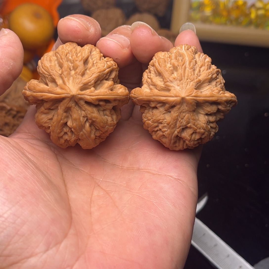 把件文玩核桃46大粗筋