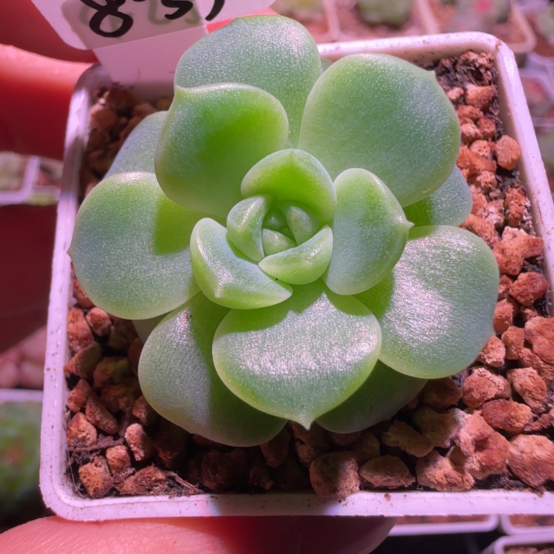 年***眠8-33福利财富密码CF25