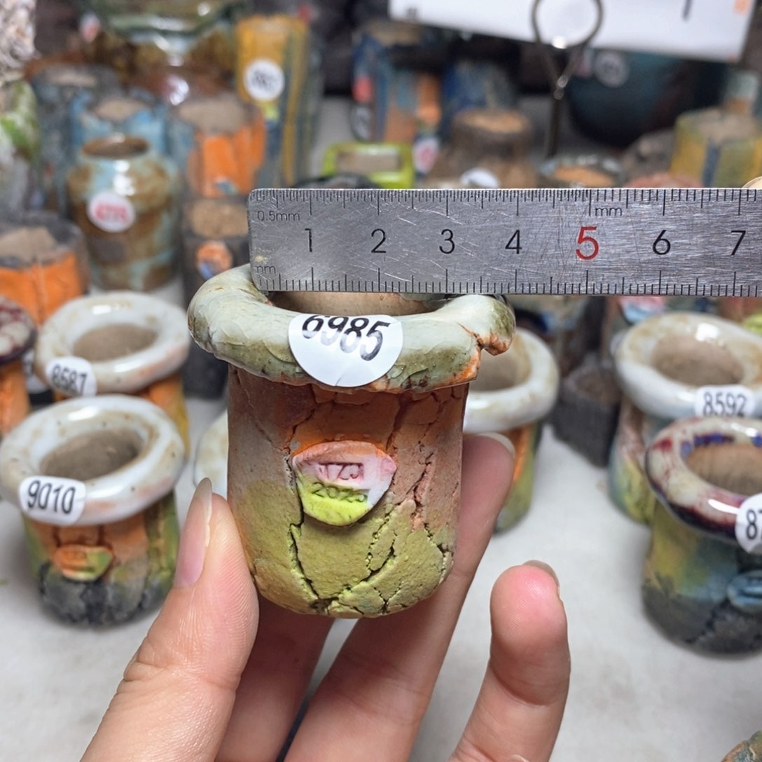 拍3送一个小礼物