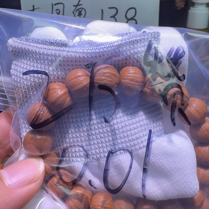 山***木猴头原皮南瓜手串