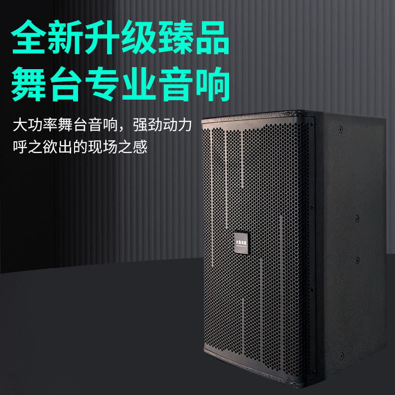 KTV音响/专业音响/后导式专业音响 一只   