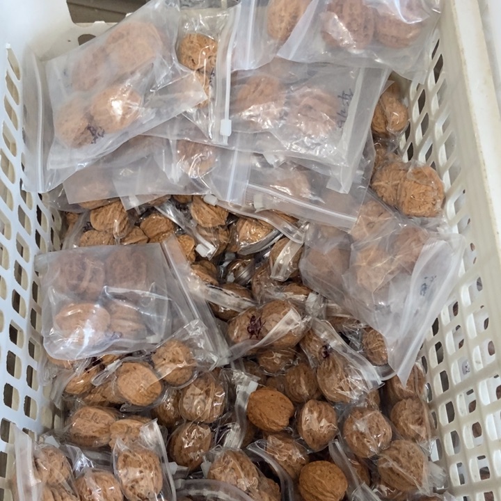 吊坠文玩核桃僧帽瑕疵