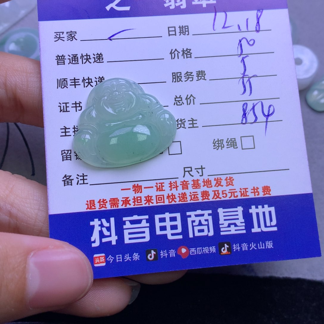 颈饰未镶嵌翡翠一**意