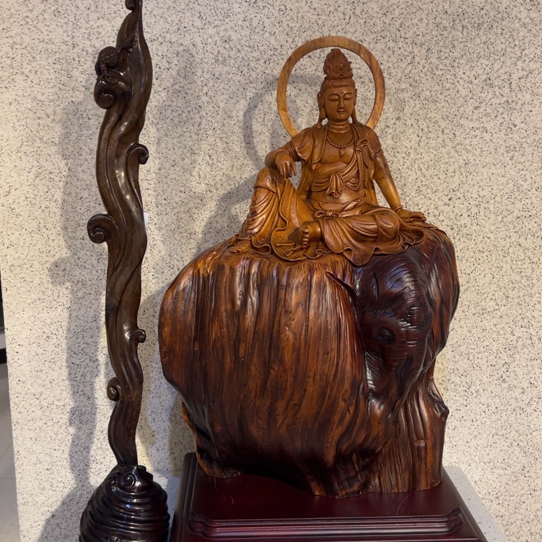 @***光香榧木dfgjmkkjhhhgg