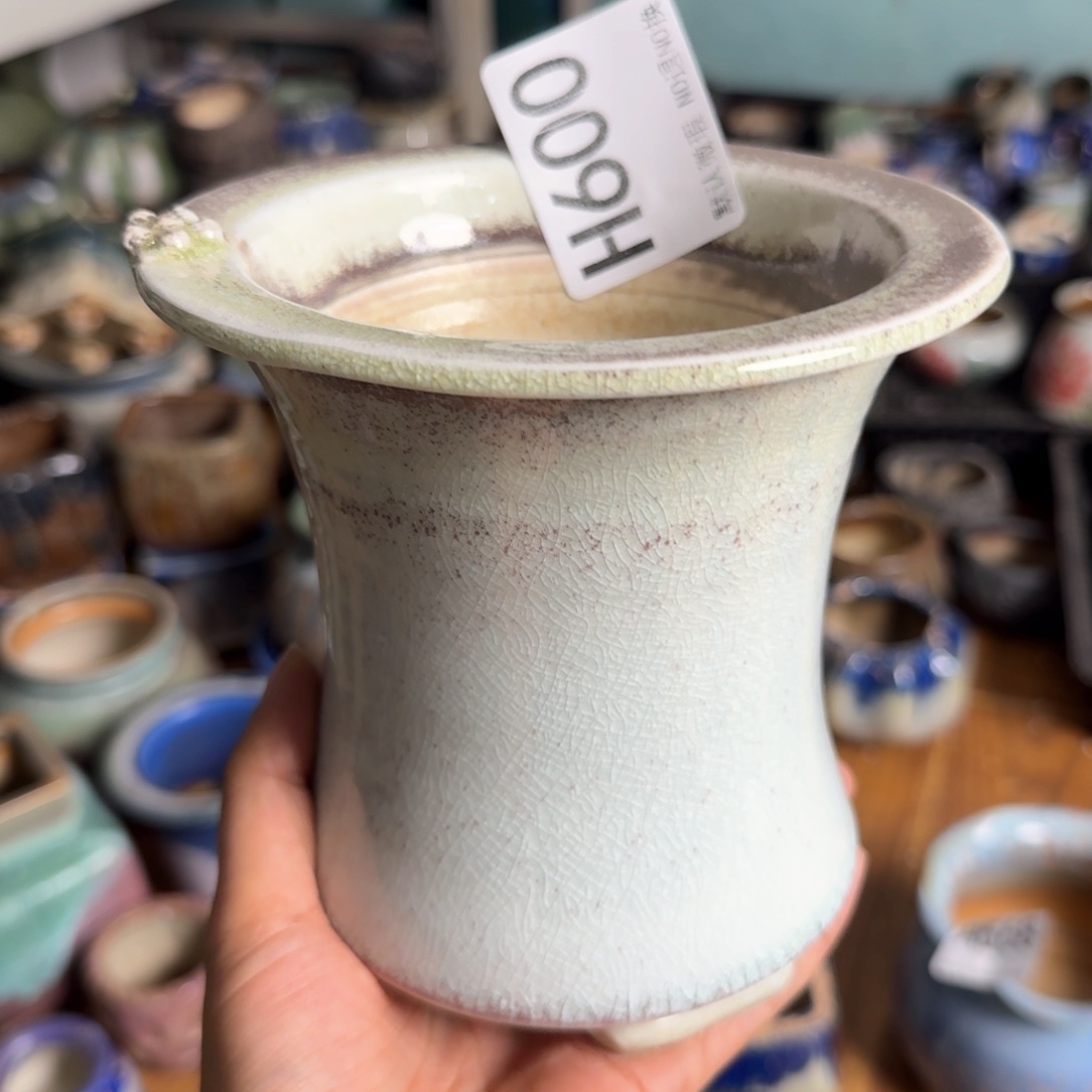 重庆一侧小燕子欢迎大家600