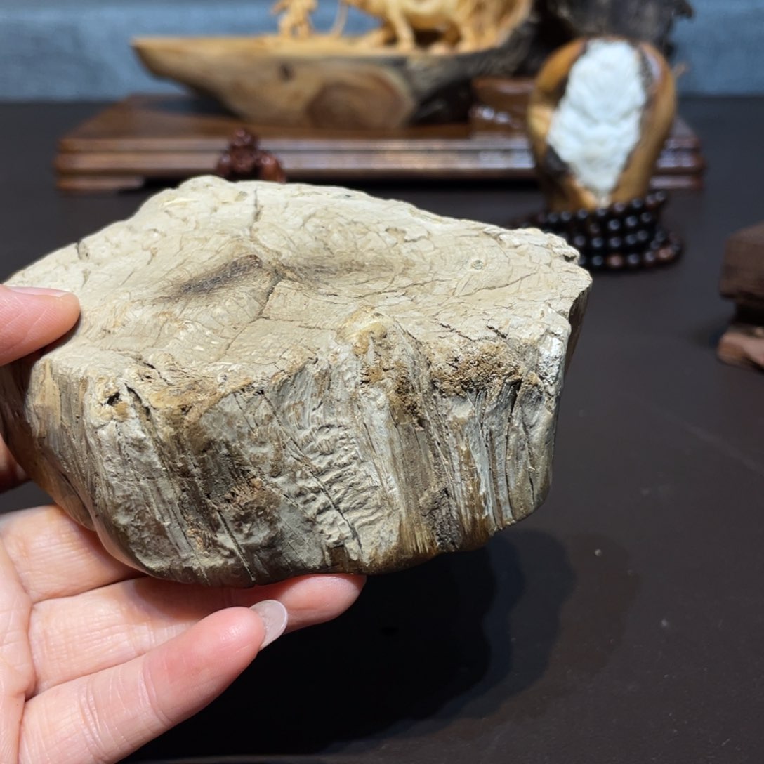 柏木（崖柏）H*)摆件工艺品