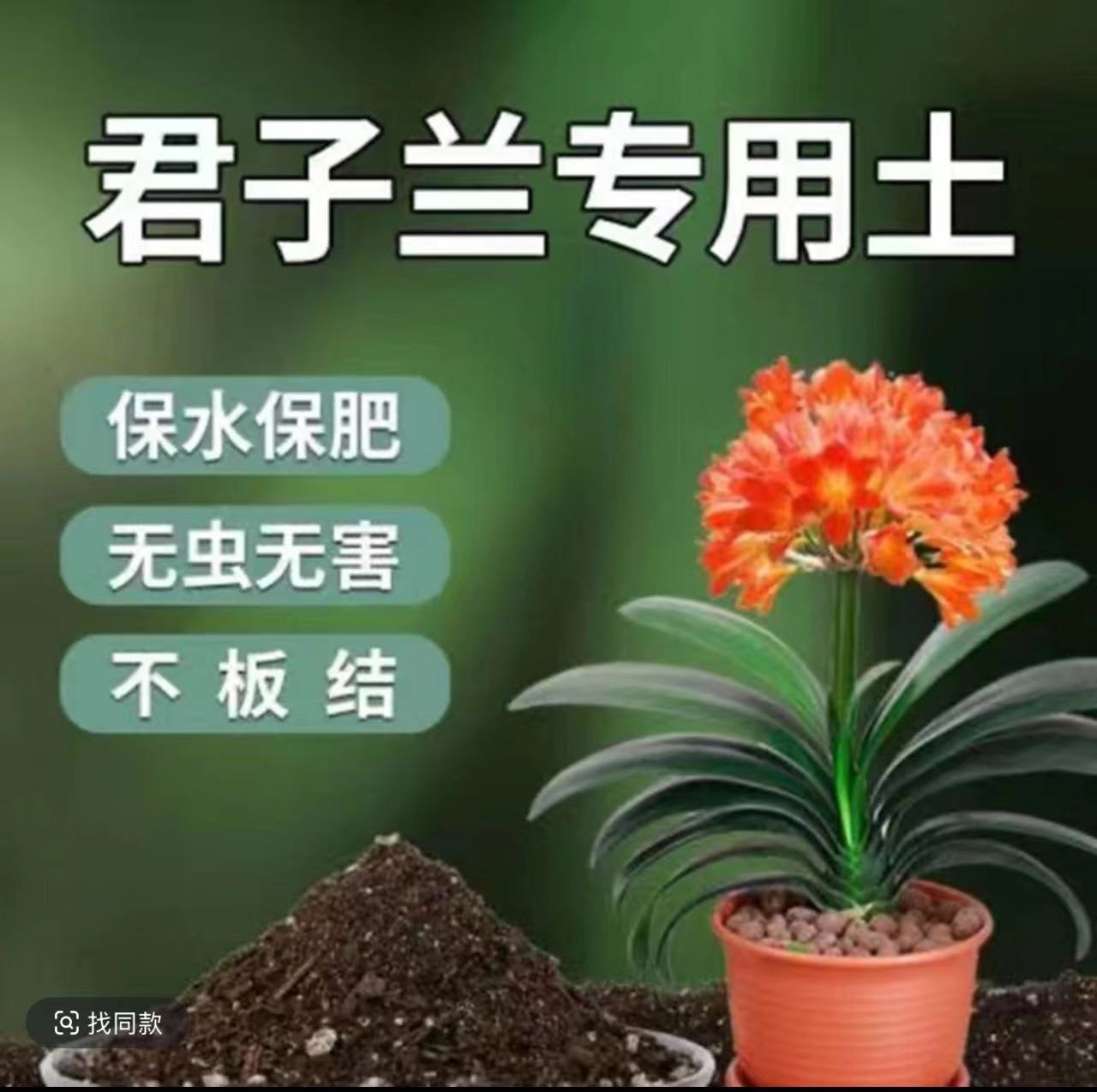 君子兰专用营养土  君子兰盆栽花苗营养土