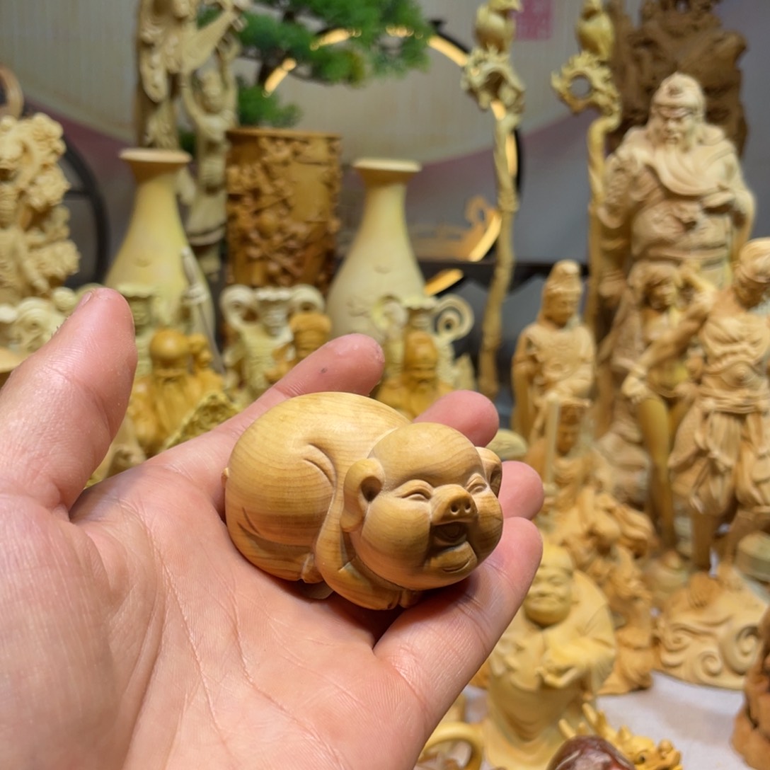 黄杨木小叶瑕疵猪