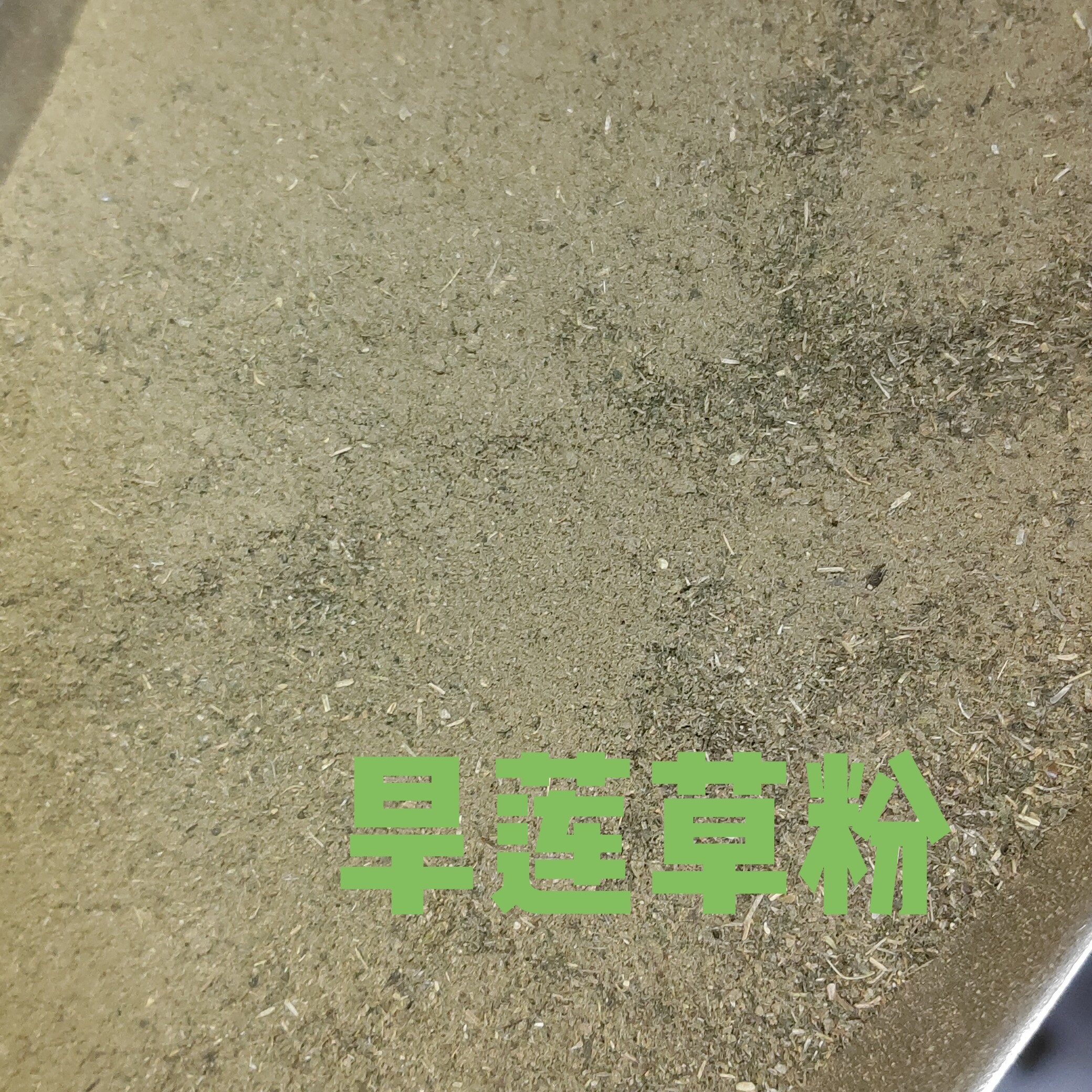 旱莲草粉高品质正宗天然洗发传统养护洗头原料