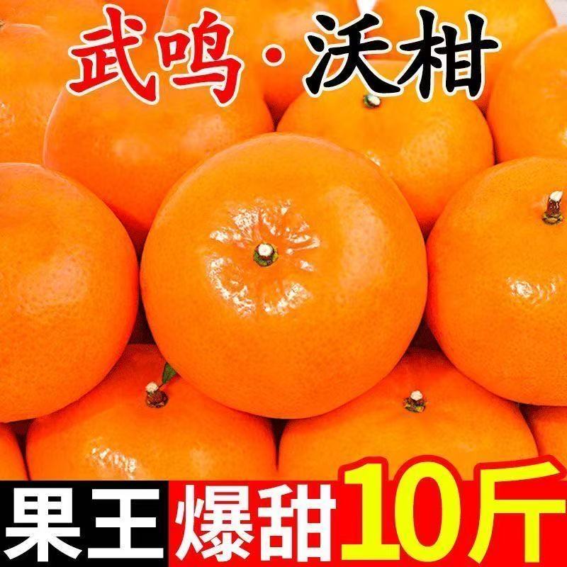 广西武鸣沃柑5斤10斤包邮次日送达沃柑茂谷柑广西壮族自治区广西壮族自治区南宁市