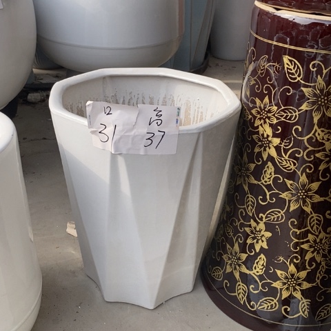 低腰白八方大号31/37