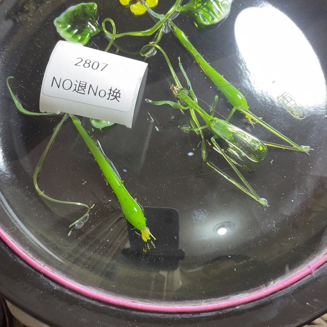 老***房其他陶2807不退不换