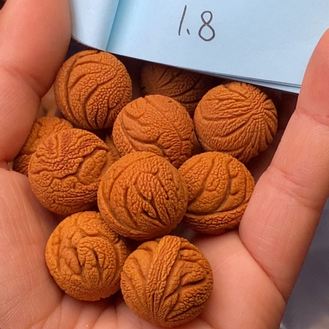 秦岭龙纹桃核14颗