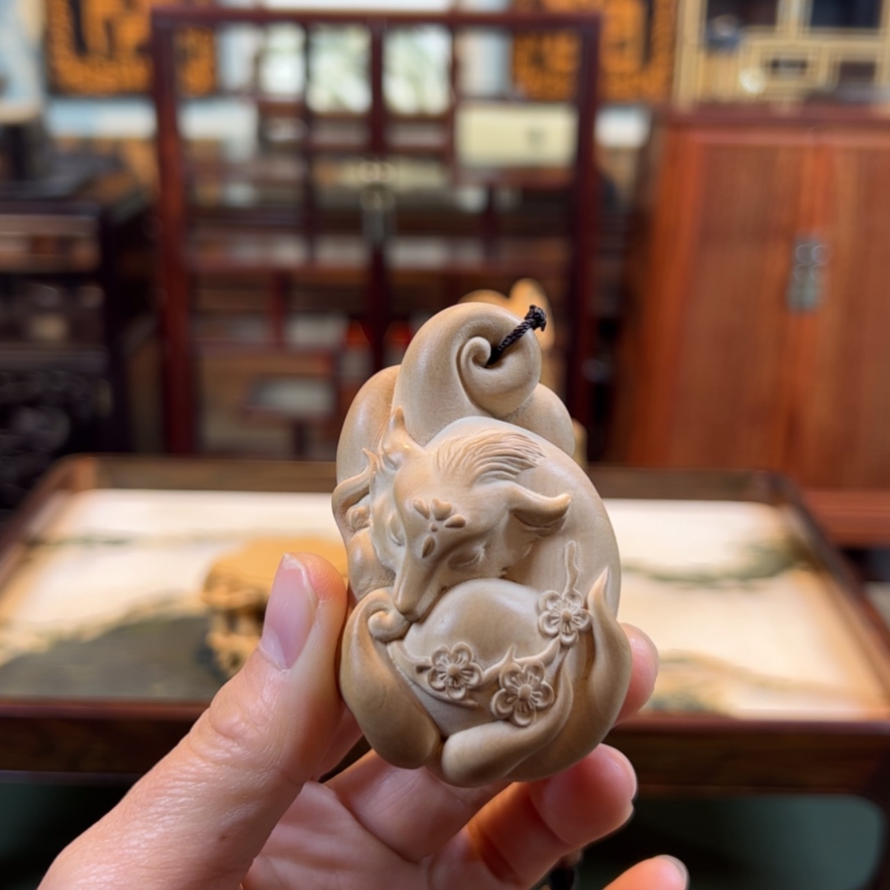 【闪购商品】黄杨木其他黄杨木