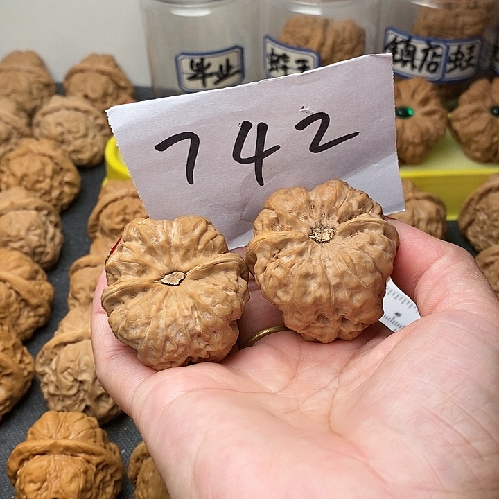 你***生核桃蛤蟆洞等景点