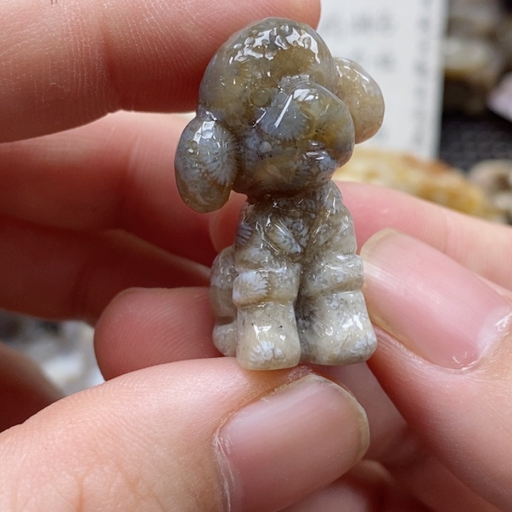 硅化珊瑚（珊瑚玉）颈饰未镶嵌