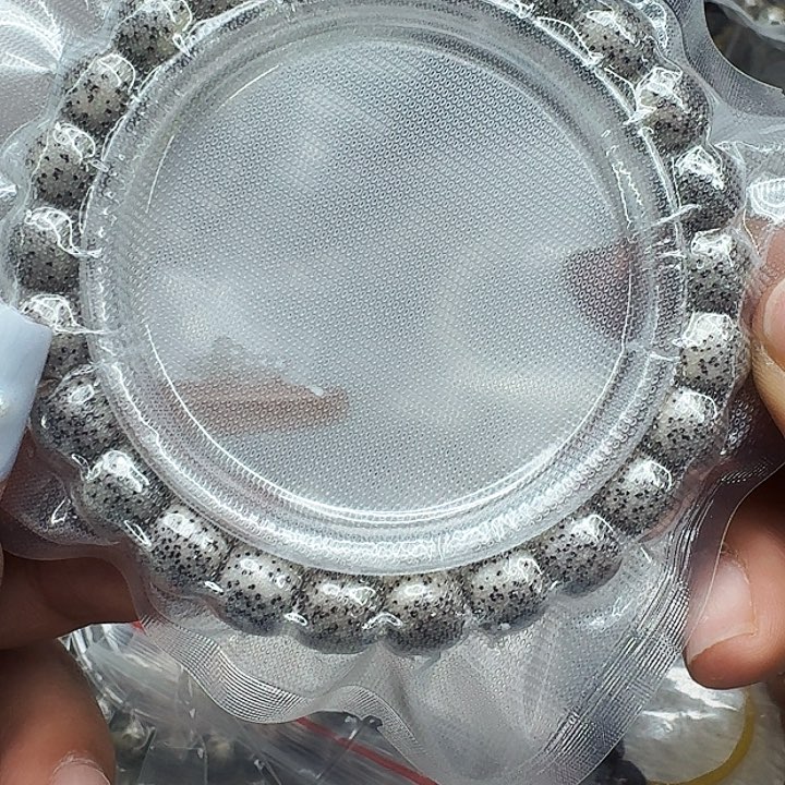 星月菩提手串559高端绿包白星月菩提98桶单圈