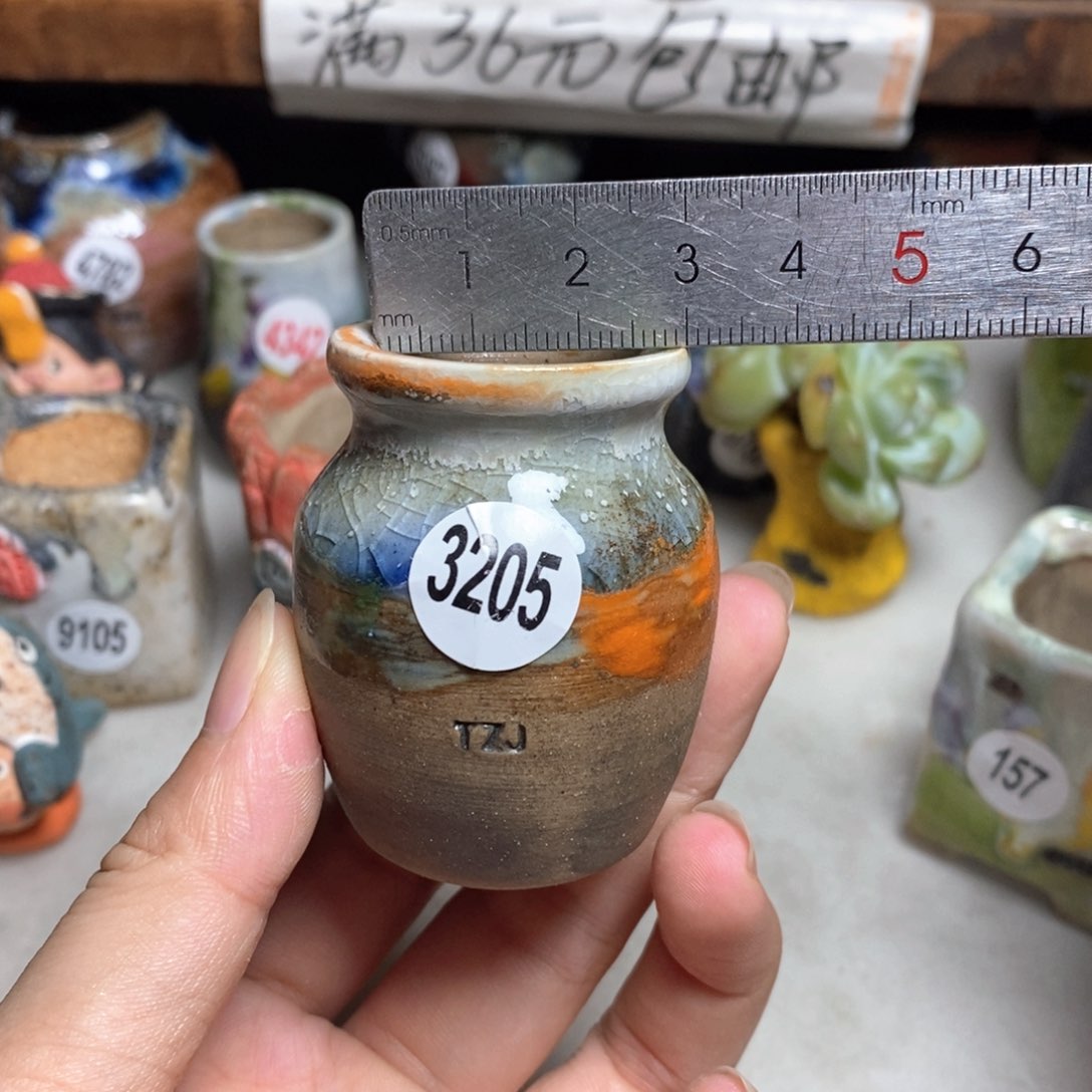 拍5送一个小礼物