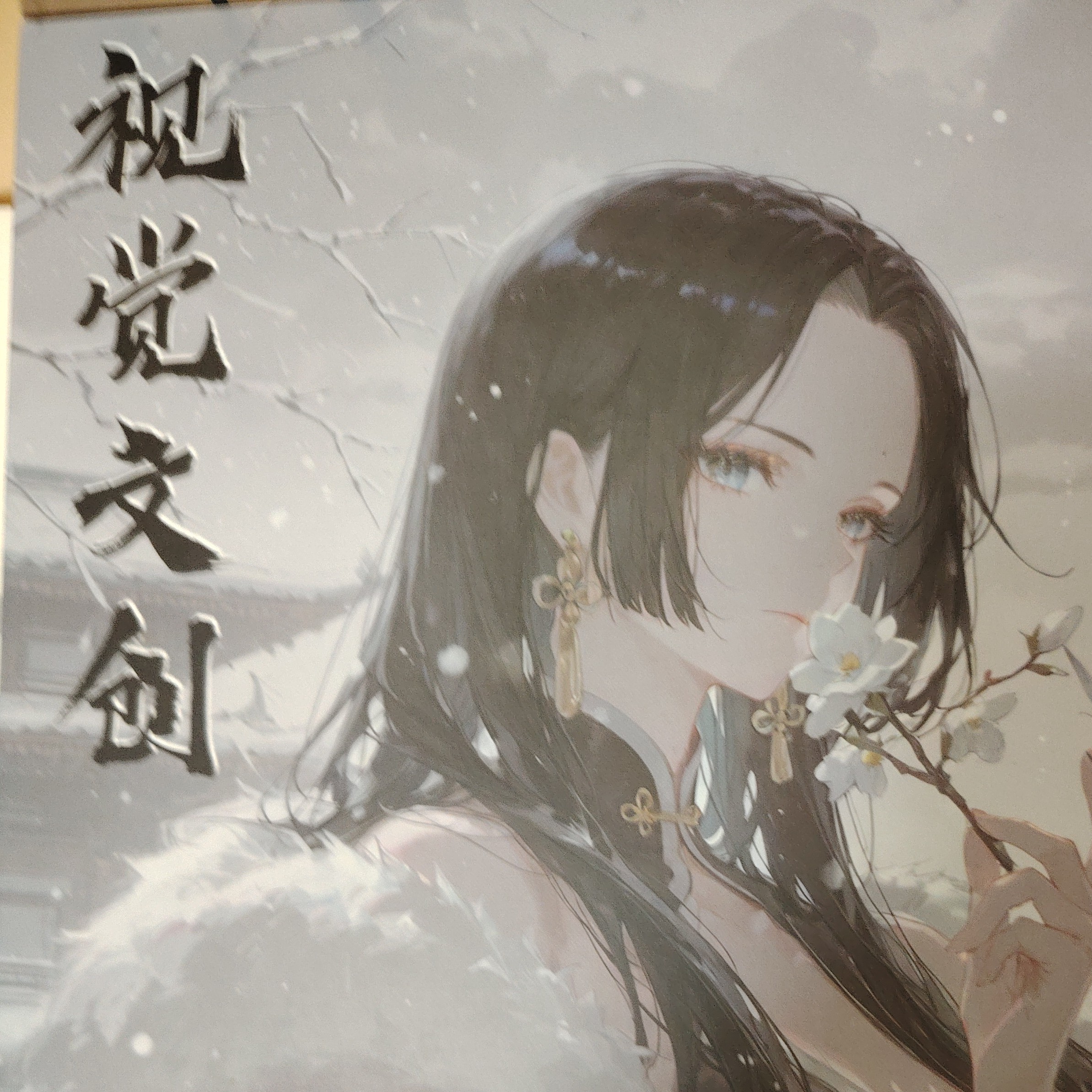 视觉文创海贼王合集