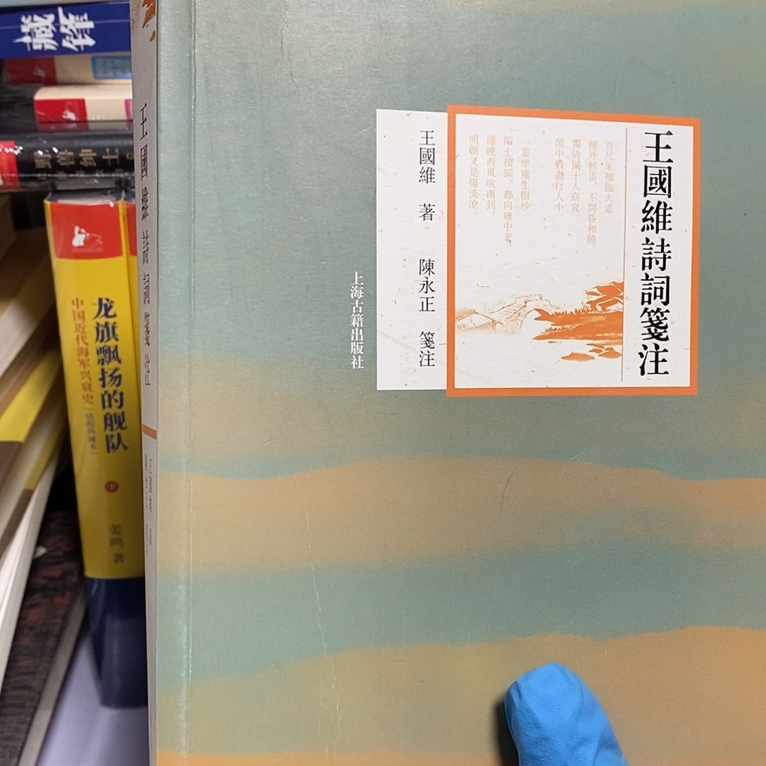 王国维诗词笺注…………