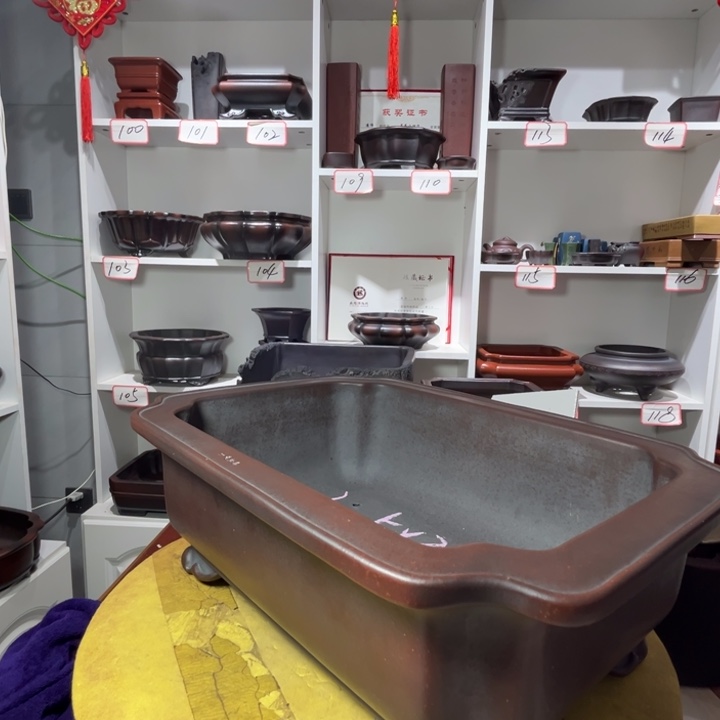 特***普花盆紫砂11111111