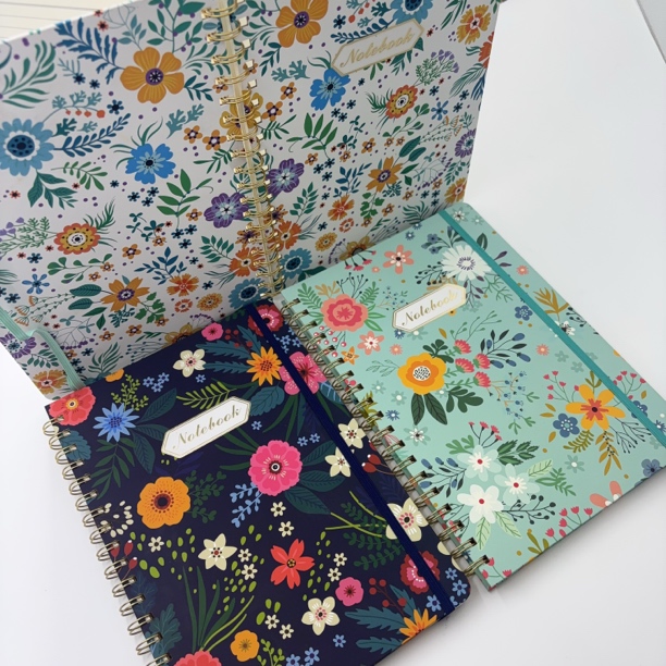 3004【3本B5外贸线圈本】内页横线高颜值记事本日记本笔记本