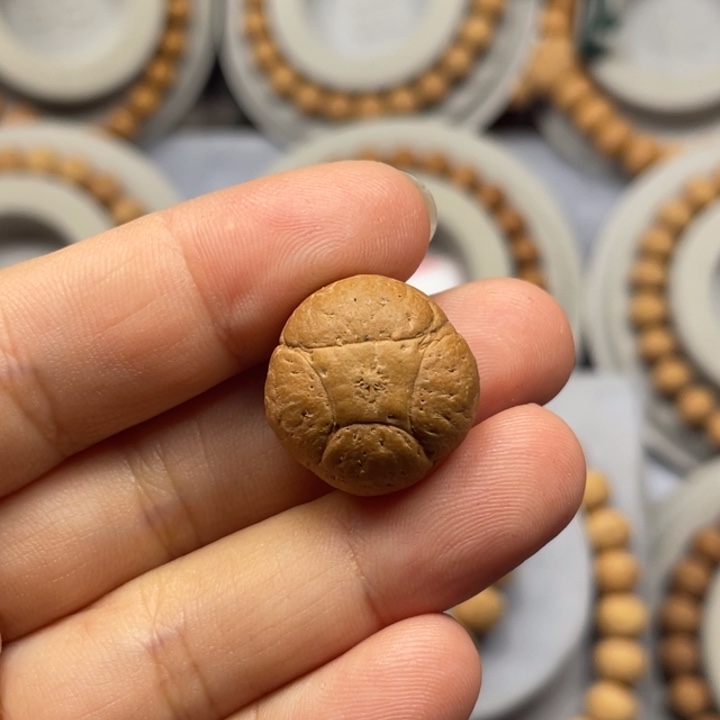 凤眼菩提吊坠手串 麒麟 19