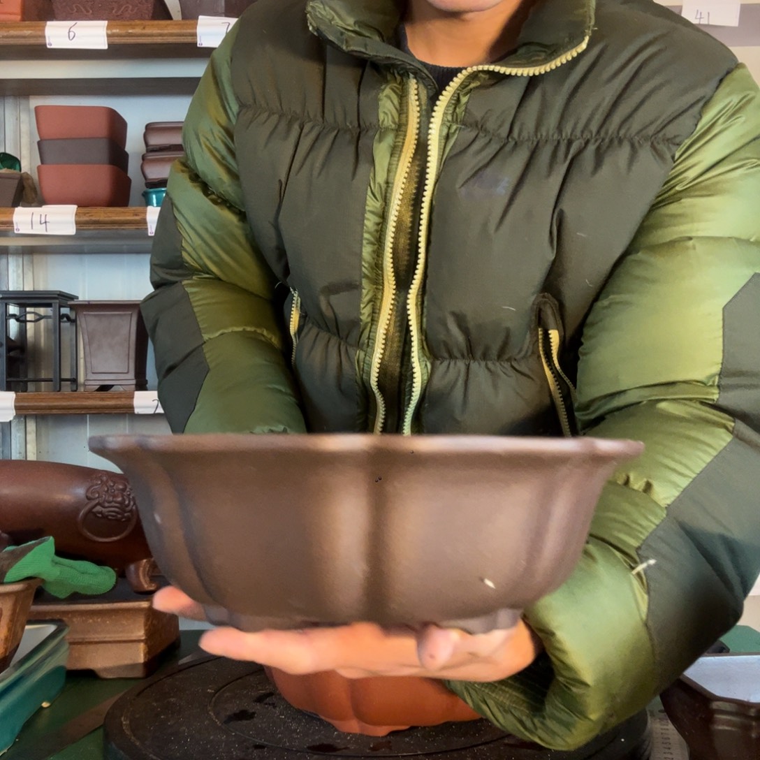 赤***子不会规范方法他引吭高歌