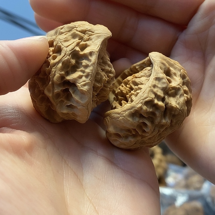 文玩核桃把件43蛇头