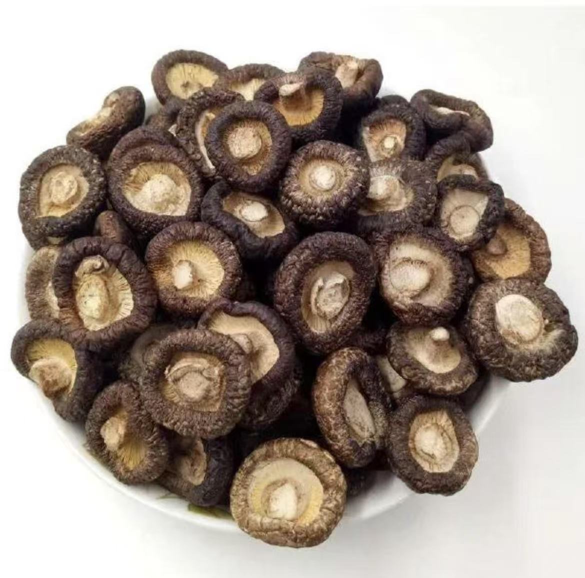 云南下山香菇临时链接