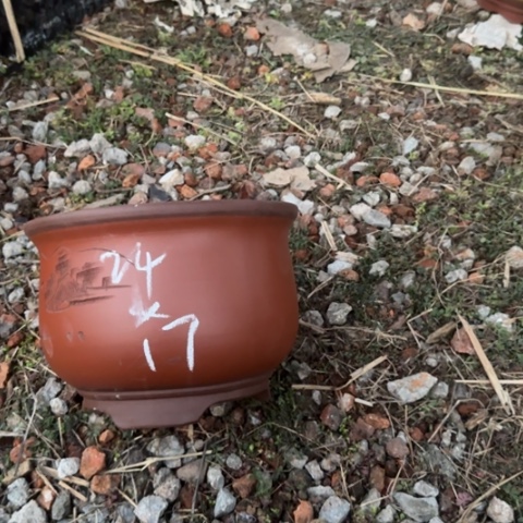 红陶紫砂花盆盆景盆栽