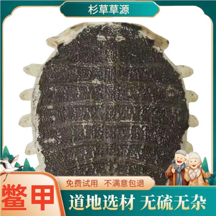 鳖甲生鳖甲 鳖甲壳 甲鱼壳 鳖盖子可免费打鳖甲粉无硫非甘草