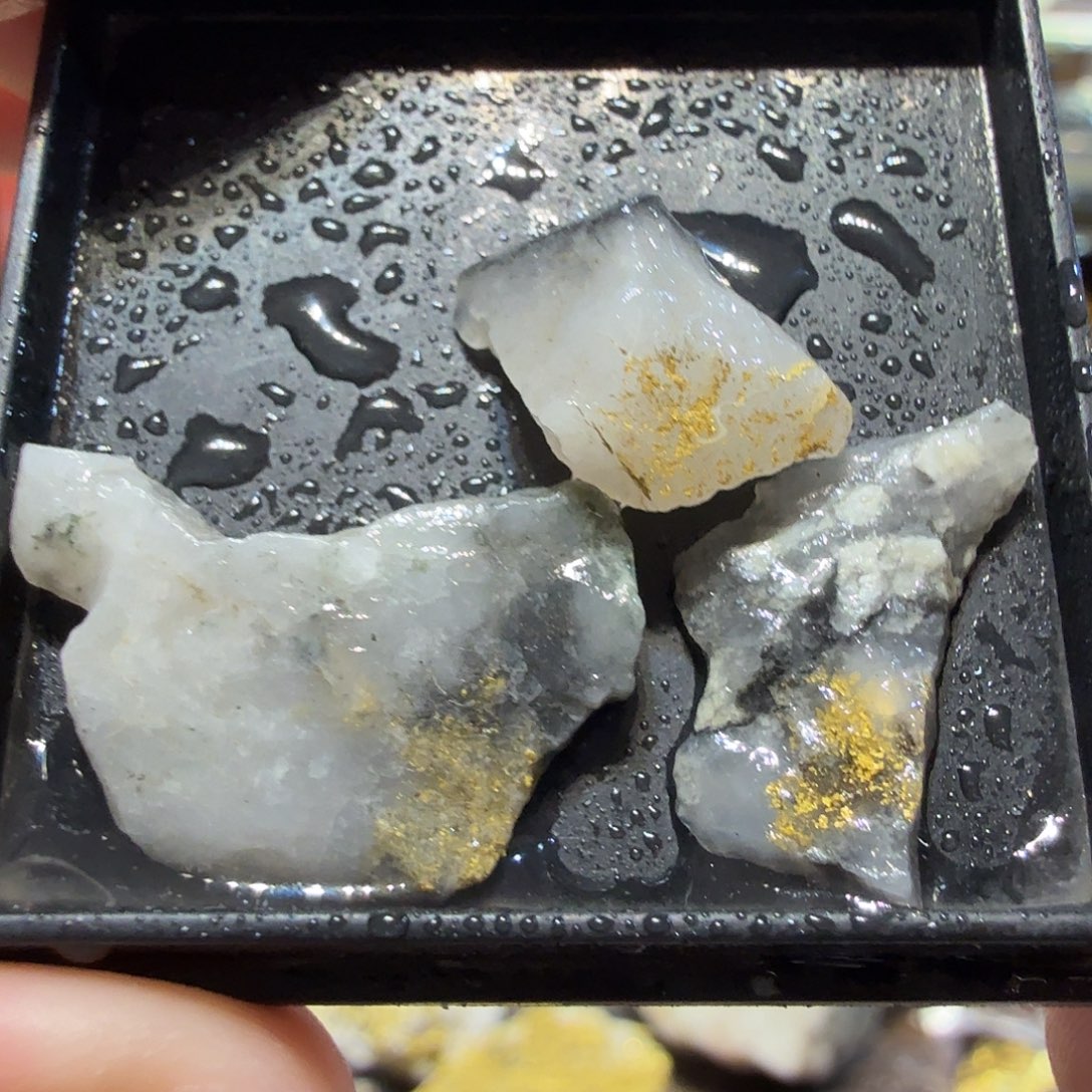 尤3.3g左右聚金阁天然明金矿标