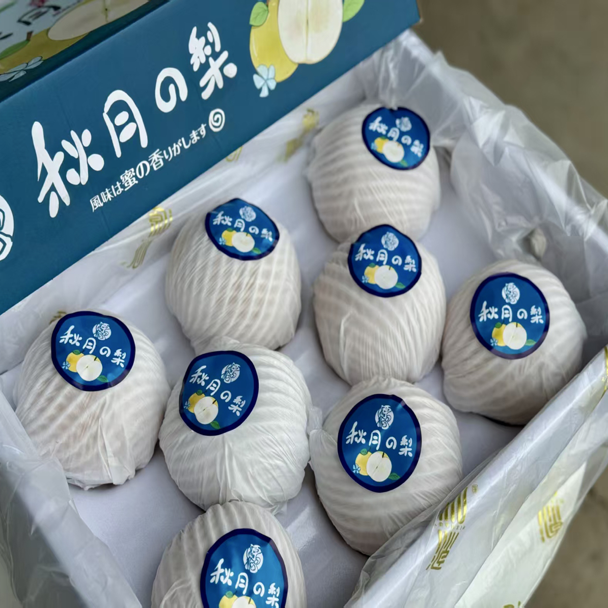源心秋月梨礼盒装山东省