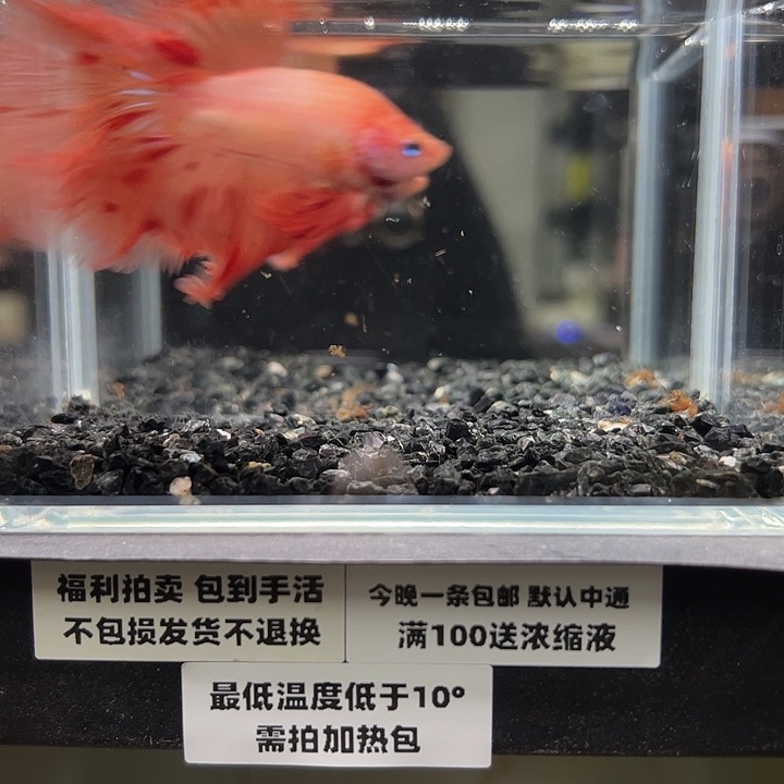 斗鱼竞拍跑单拉黑23日88